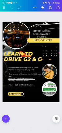 Driving instructor TK 647 770 2381 MTO Approved