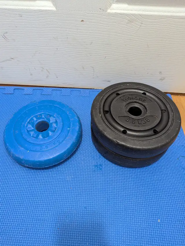 vinyl weight plates $0.50/lbs in Exercise Equipment in Delta/Surrey/Langley - Image 6
