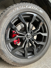 Pirelli Scorpion Winter wheels 255/50 R19 103H Audi SQ5