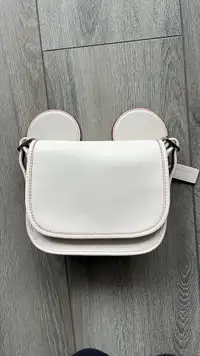 Disney x Coach Limited Edition Crossbody Bag