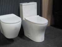 Modern Elongated One-Piece Toilet Fully Glazed Rimless 1.6 GPF