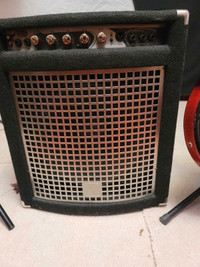 Yorkville 100 watt bass amplifier with 15 inch speaker 
