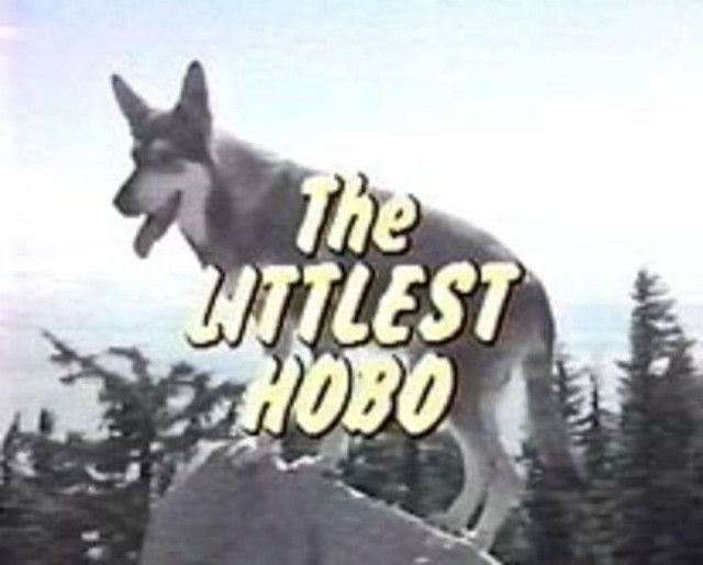 THE LITTLEST HOBO 114 EPISODES 16 DVD ISO SET 1979-1985 TV SHOW in CDs, DVDs & Blu-ray in North Bay - Image 4