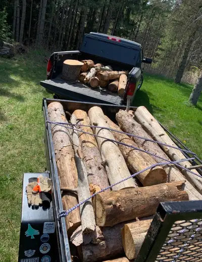 Tree Removal & Maintenance , View more