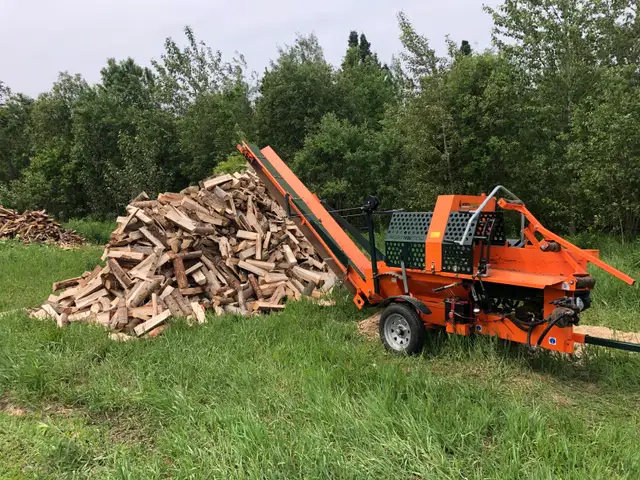 Campfire wood, camping, ignition62863736379521121