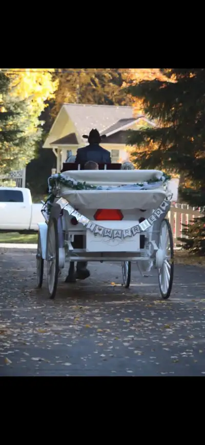 wedding carriage, View more