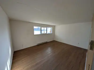 2 bedroom lower level apartment. Located on A family Friendly Street, Offer Everything you need! Bri...