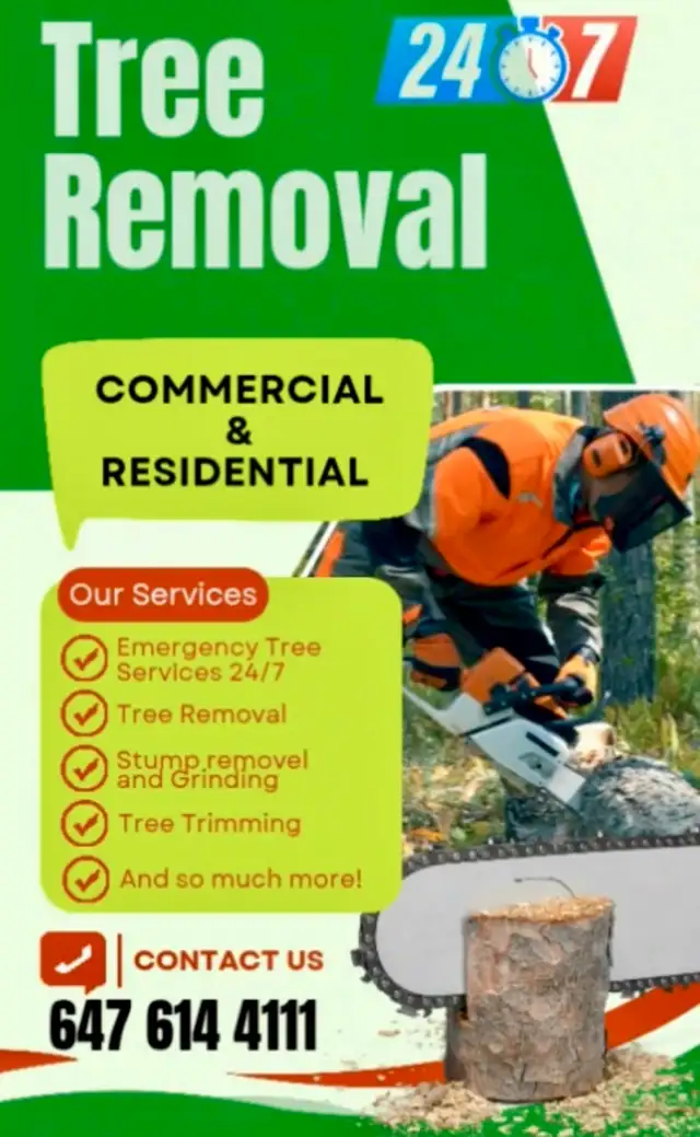 tree Cutting or removal in Lawn, Tree Maintenance & Eavestrough in City of Toronto - Image 2