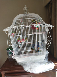 2 Budgies and Cage
