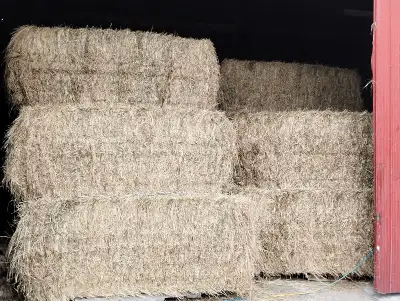 27 bales 1st cut grass hay, 3x3x7, fairly stemmy and mature. $65 2024 crop, acid applied.