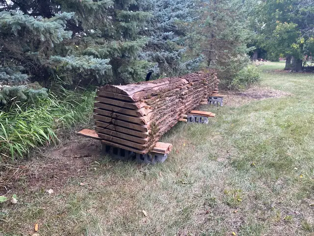 Live Edge Lumber -  HUGE OAK slabs - CEDAR available. in Hobbies & Crafts in Winnipeg - Image 6