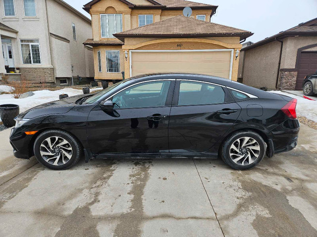 2020 Honda Civic EX in Cars & Trucks in Winnipeg - Image 4