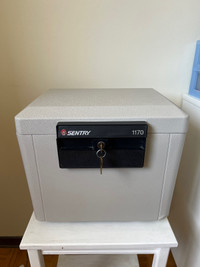Sentey 1170 fire safe box