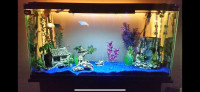 Fish Aquarium Decorations 