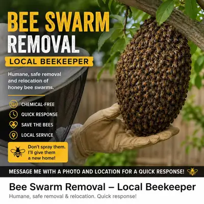 Honeybee Swarms, View more