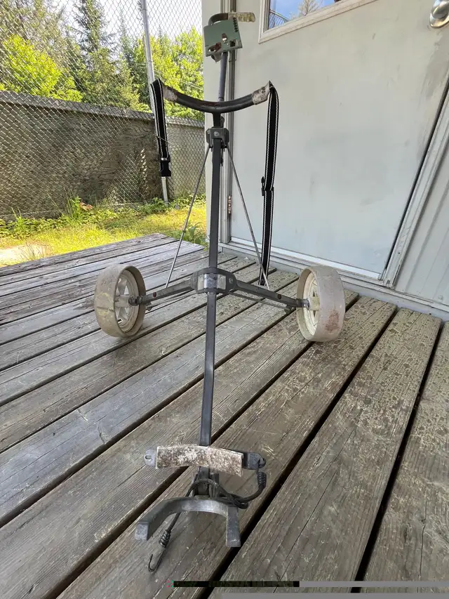 Golf Puch Carts in Golf in Muskoka - Image 4