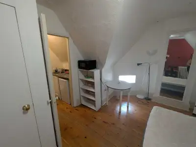 A furnished studio for rent in a great area of the Annex. 2 minutes walk to Dupont station, close to...