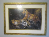 Framed picture of a pair of leopards
