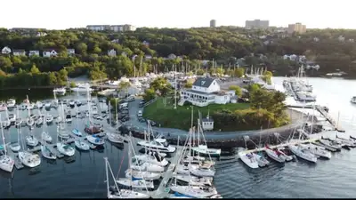 bartender/ wait staff , View more