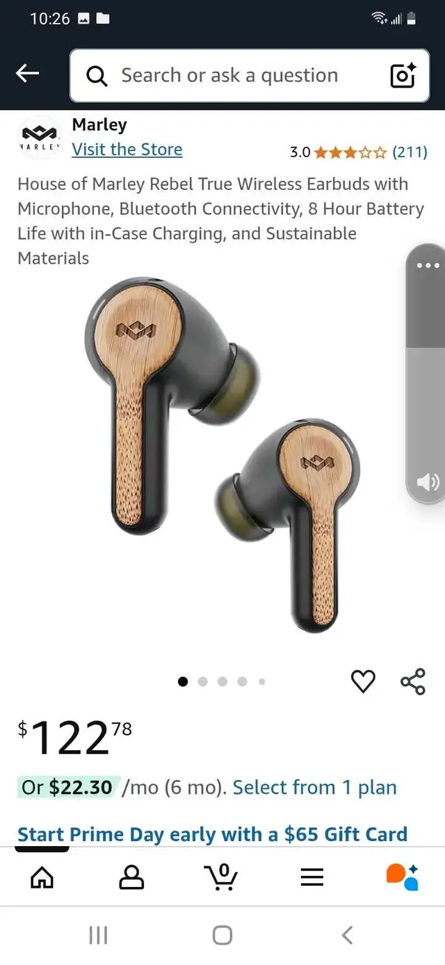 Rebel earphones 63436970764289123