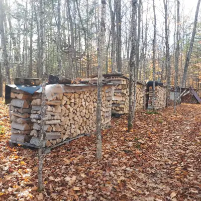 Covered Dry Seasoned Hardwood. Pickup only. Wood is 1km off-road so truck or AWD recommended. Locati...