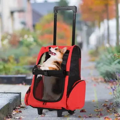 2-IN-1 Pet Luggage Box Backpack Carrier Cats Dogs, Ted, View more