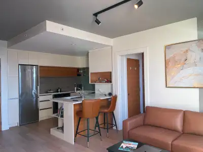 Hi everyone! I’m subletting my fully furnished apartment on Johnson Street in Downtown Victoria from...