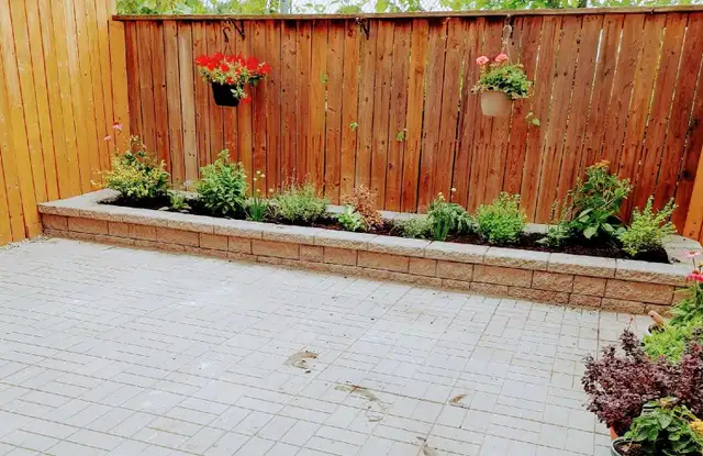 landscaping and paving63581888497795121