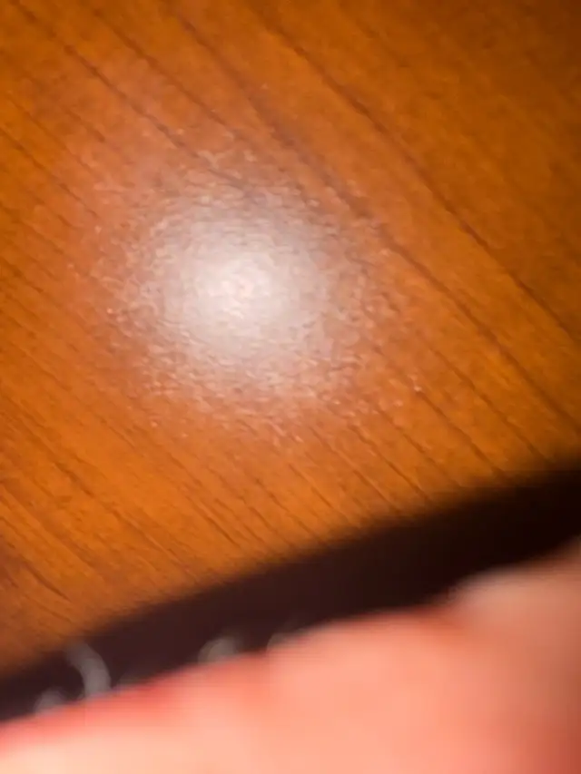 New Dining Table in Dining Tables & Sets in Kitchener / Waterloo - Image 4