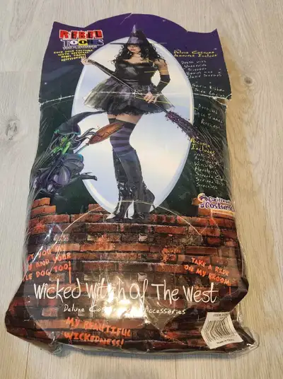 Wicked Witch of The West Halloween Costume (Size Small), View more