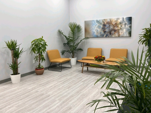Hiring Registered Massage Therapist in Healthcare in Edmonton - Image 3
