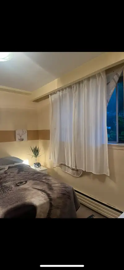 Room for Rent Yonge and Finch