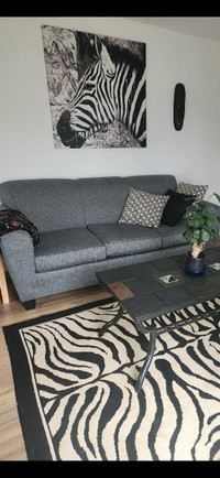 Couch like new 