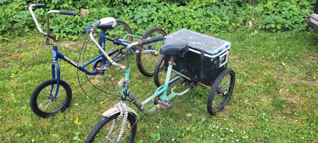 Two Adult Tricycles in Other in St. Catharines - Image 4