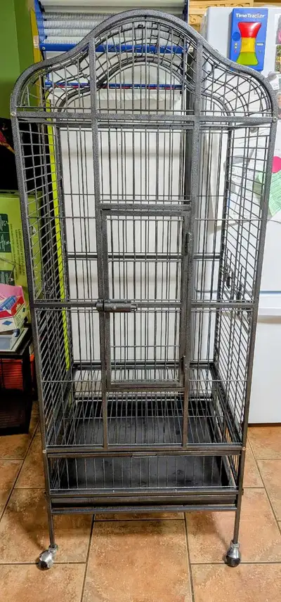 cage oiseaux, View more