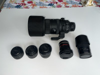 Sony e-mount lenses (6 total)