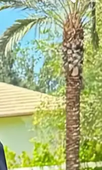 Snow removal driveways $100 , View more