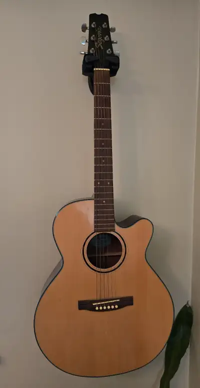 Segovia NC440SGN Acoustic Guitar – Very Good Condition Cutaway acoustic guitar with steel strings. L...