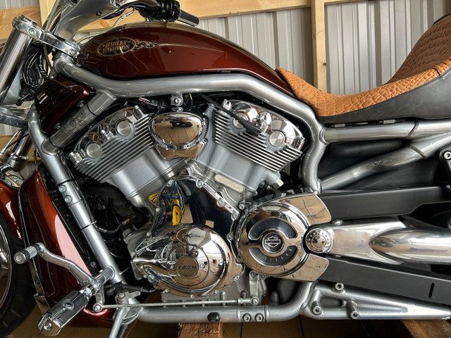 2009 Harley Davidson VRod 1250 in Street, Cruisers & Choppers in Red Deer - Image 4