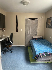 Female Summer Sublet private Room 