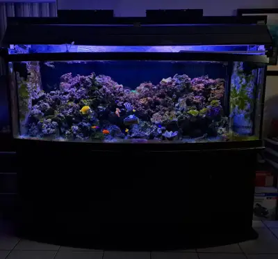 Complete Saltwater Aquarium Setup – 155 Gallon Half-Moon Tank, View more