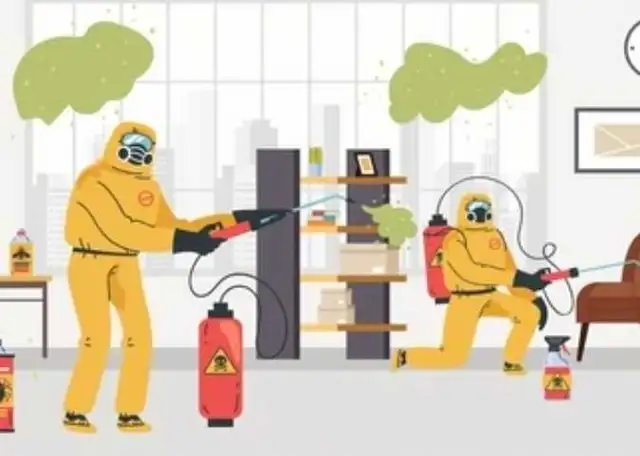 Affordable Pest Control 