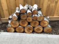 Birch Firewood