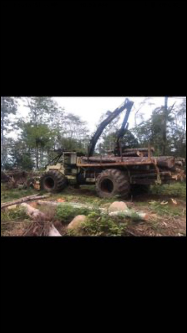 Buying stumpage/standing timber  in Land for Sale in Bridgewater - Image 2