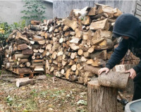 Firewood for sale $150 face cord incl. delivery*