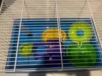 Cage hamster 