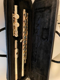 Alpine Silver plated flute with hard shell case.