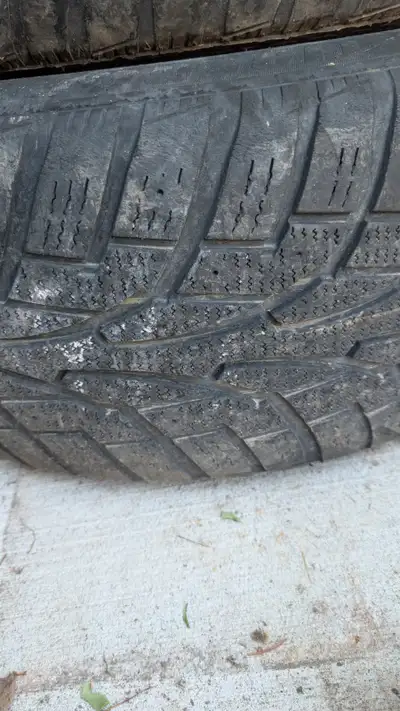 set of 4 tiger paws ice and snow tires on a set of mustang bullet wheels