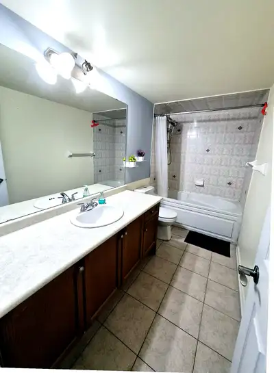 Private Complete Ground Floor Luxury 1-bedroom Aprtment Unit with Parking- Backyard Access + Separat...