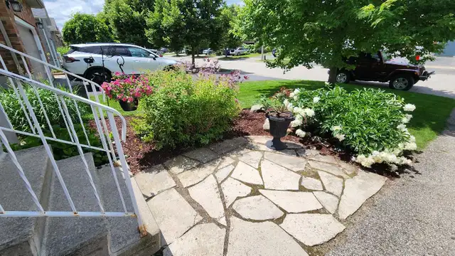 Patio & Interlock Weed Control505829955994931202